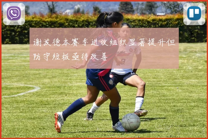 谢泼德本赛季进攻组织显著提升但防守短板亟待改善